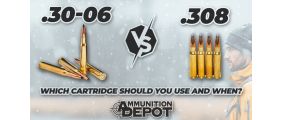 30.06 vs 308 Ammo