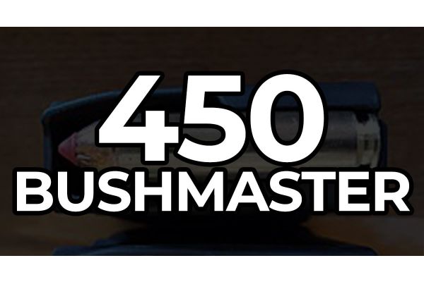 450 Bushmaster Ballistics