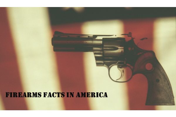 Firearm Facts in America