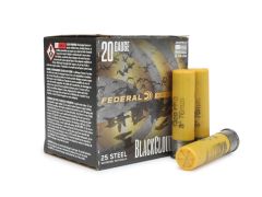 PWBX2092 Federal Black Cloud FS 20 GA 2 Shot