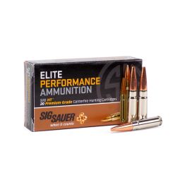 Sig Sauer Elite Hunting .300 AAC Blackout 120 Grain HT (Solid Copper ...