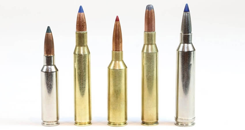 270 Rifle Ammunition