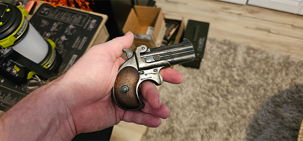 Two-shot RG-15 Derringer 