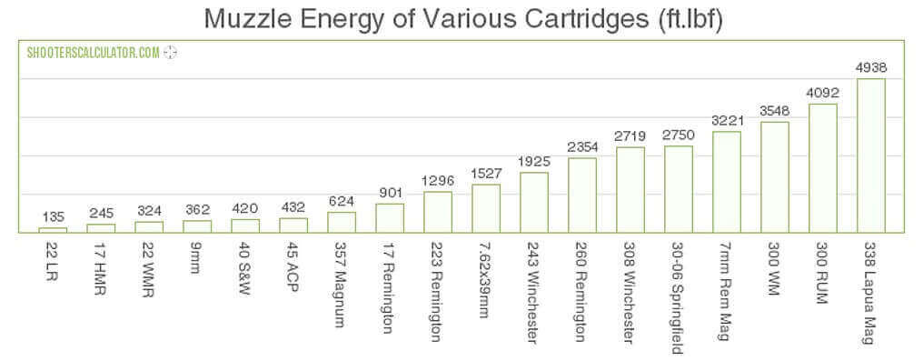 Ammo Muzzle Energy Chart