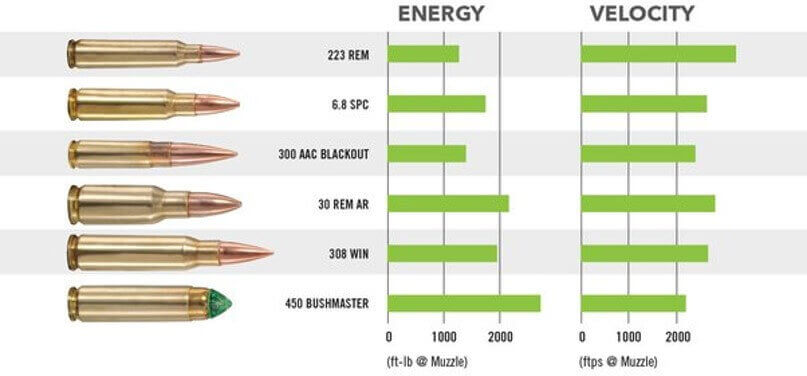 Rifle Ammunition Muzzle Velocity Chart