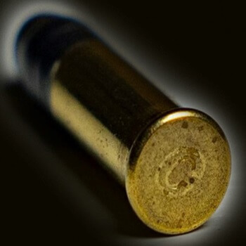 Rimfire Ammunition Photo