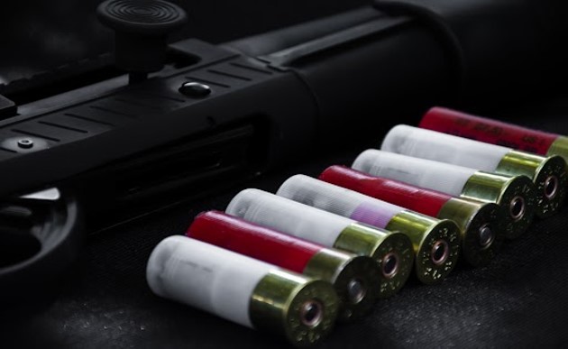 Shotgun and Shells Image