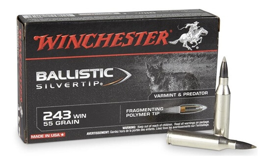 Winchester Ballistic 243 Win Frangible Ammo